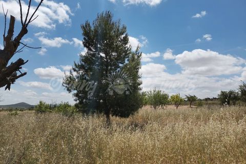 Landejendom i Yecla, Murcia, Yecla - € 65.000 | Ref: SF0314 - foto 26